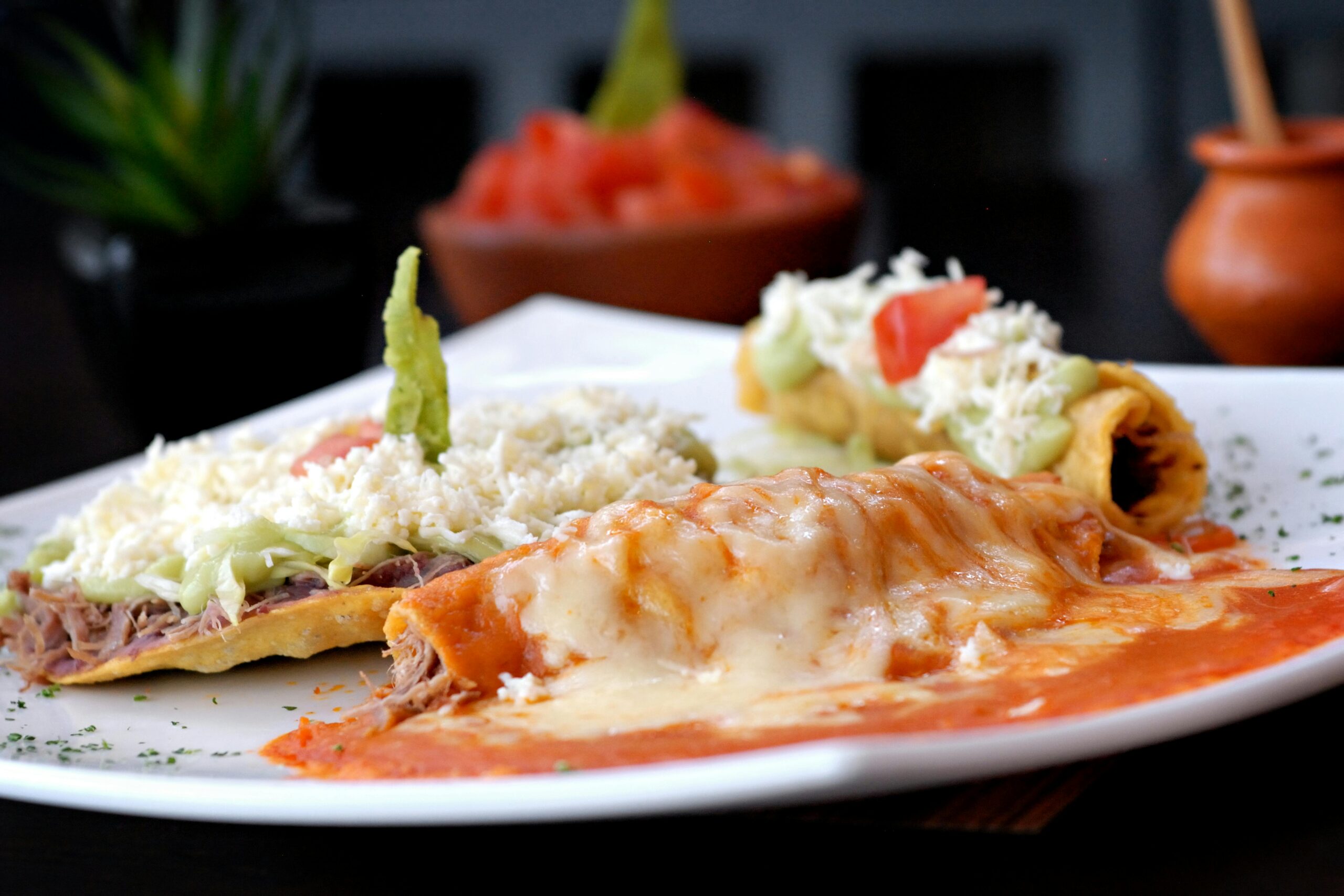 Mouth-watering Mexican enchiladas and tacos garnished with cheese and avocado on a white plate.